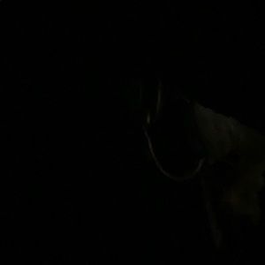 Meet your Posher, Makenna